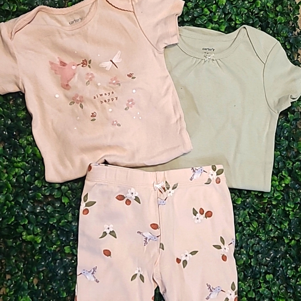 Carters girl set